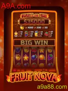 Explorando o Mundo de FruitNova: Um Guia Completo